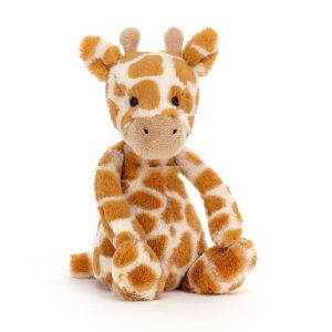 If I Were A Giraffe Book and Bashful Giraffe Small