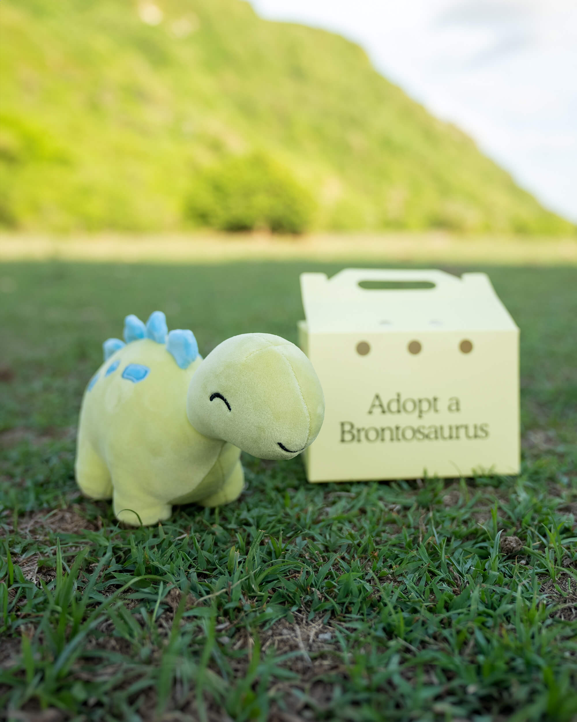FYL_Plushies-bront-outside-2_1.jpg