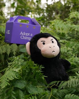 Chimp Plushie